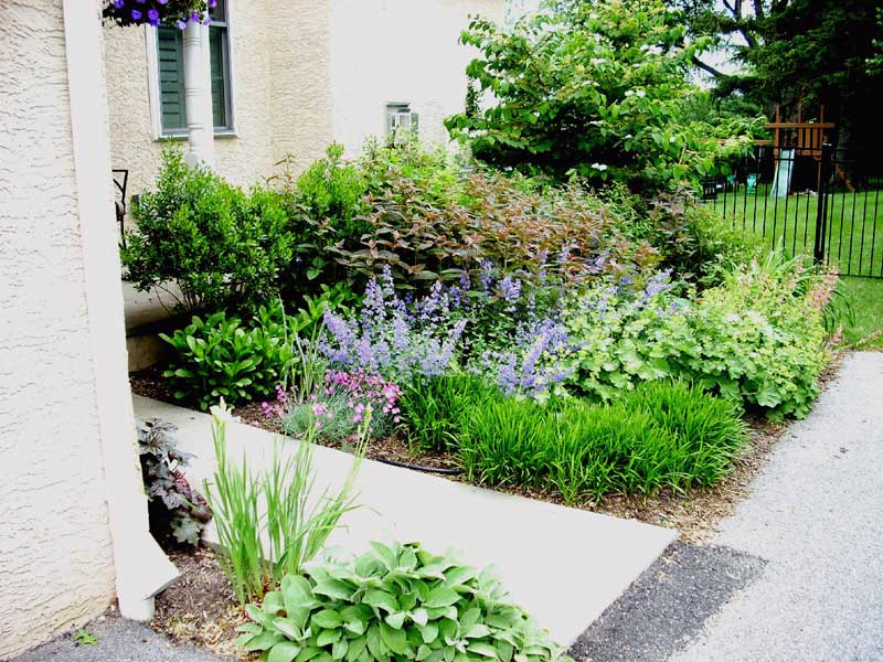 Mixed-bed-in-West-Chester