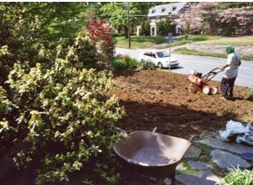 landscaping-ideas-i-have-problem-areas-that-need-addressing
