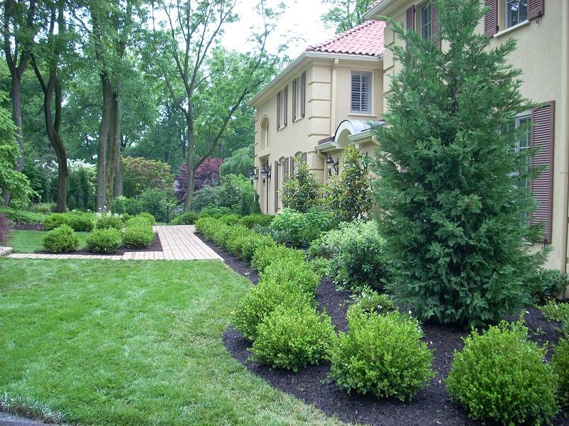 Formal garden with boxwood parterre