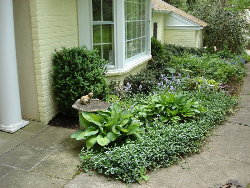 Foundation planting in Newtown Square