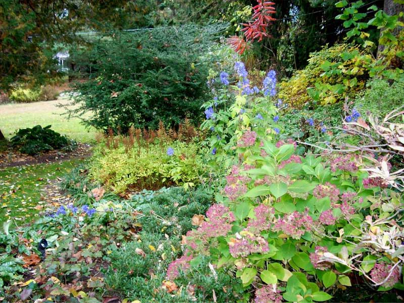 Landscaped mixed border in Devon