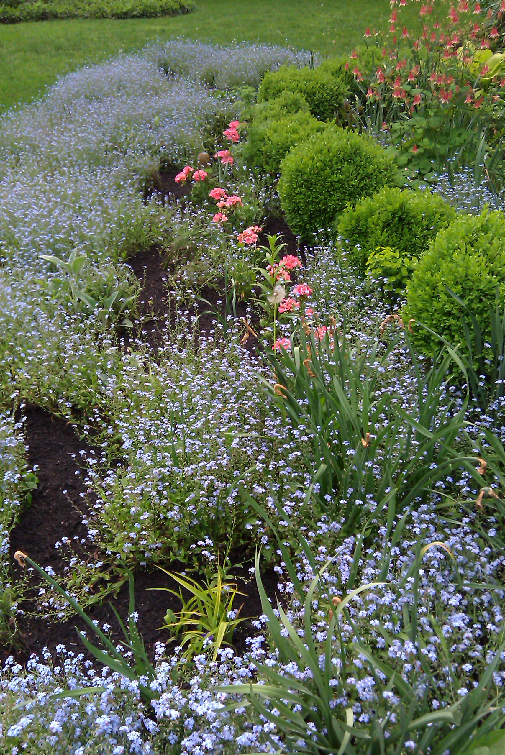 Mixed border in Edgemont