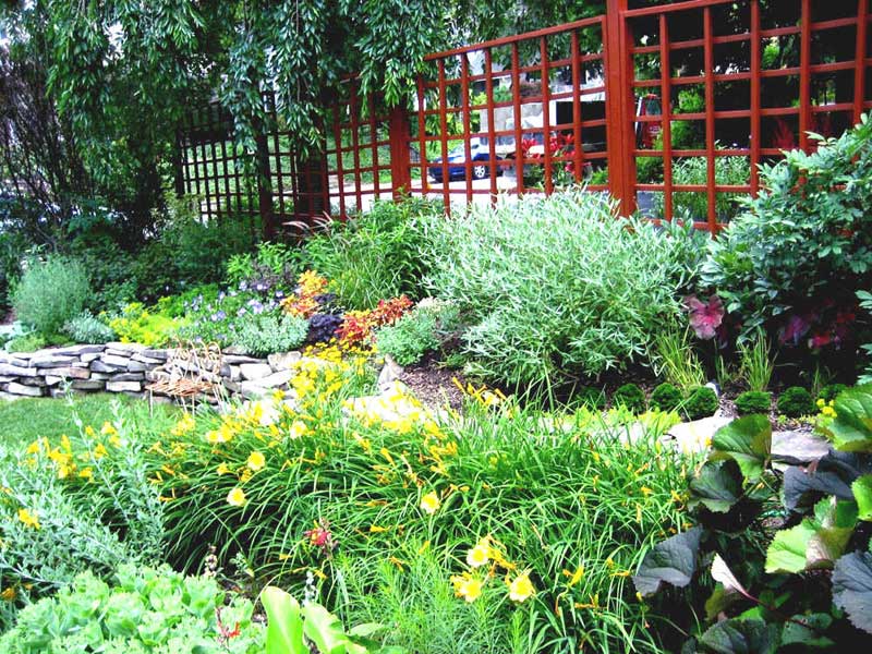 Mixed border with custom fence and stone wall in Narberth
