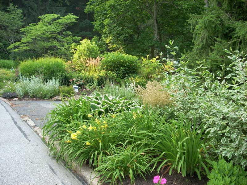 Naturalized border in Rosemont