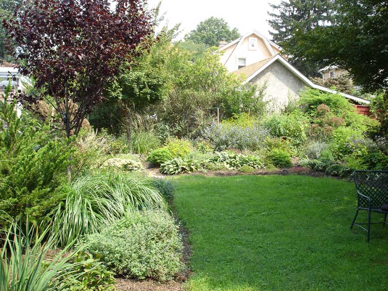 Natural Landscape with grasses and perennials in Ardmore