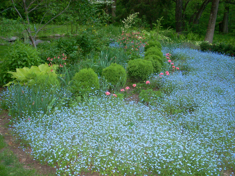 Spring display of mixed border