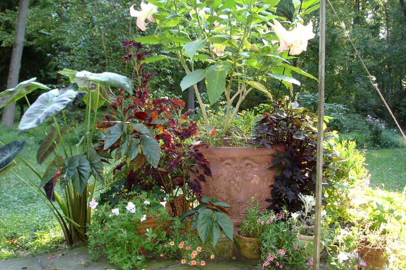 Planter grouping