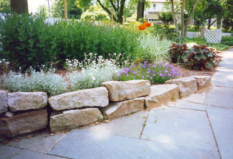Stone wall with perennials in Haverford