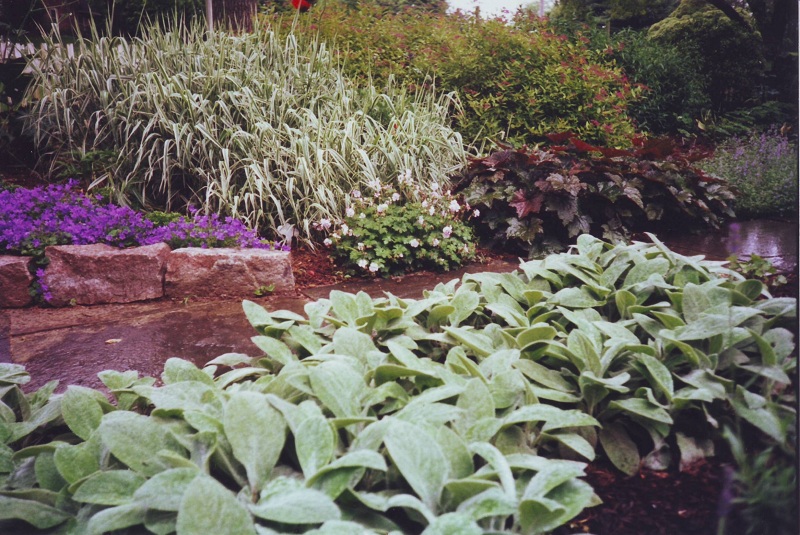 Backyard Designs - Low Wall and Perennials in English Cutting Garden in Gladwyne