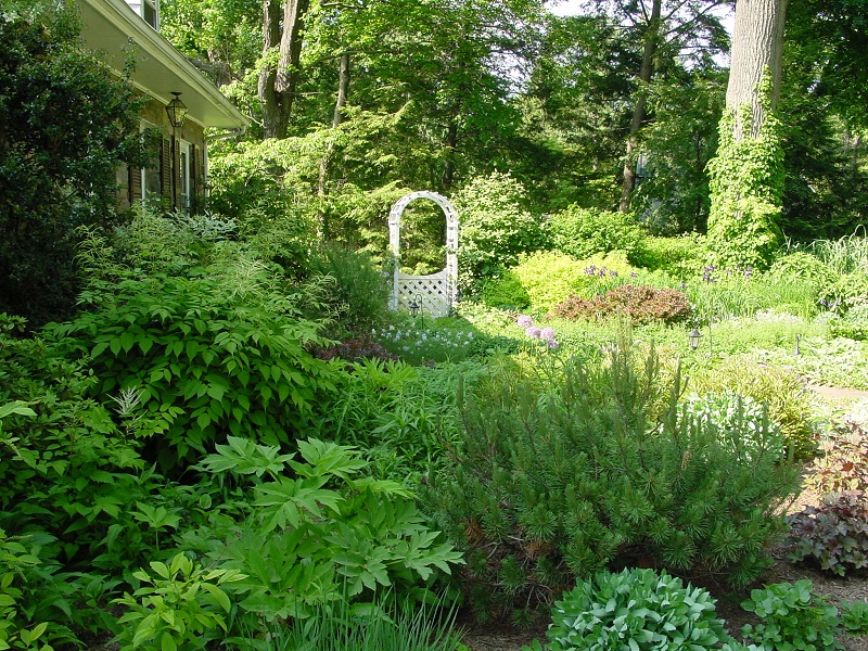 Landscaping Ideas - English Cottage Garden in Gladwyn