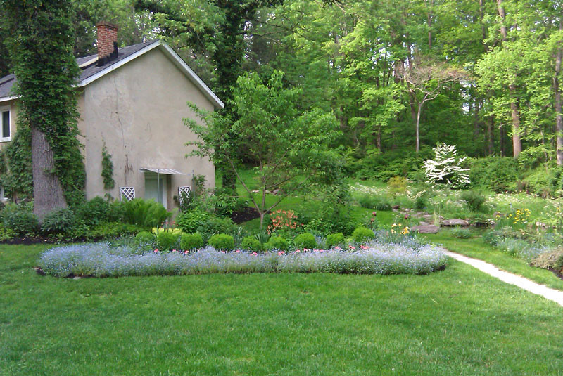Backyard Landscaping Ideas - Woodland Setting With Perennials in Edgemont