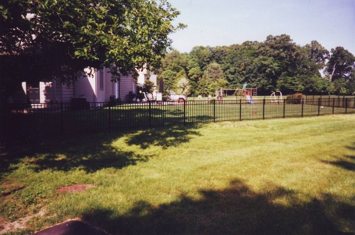Backyard Designs - Screening for Privacy in Villanova - Before