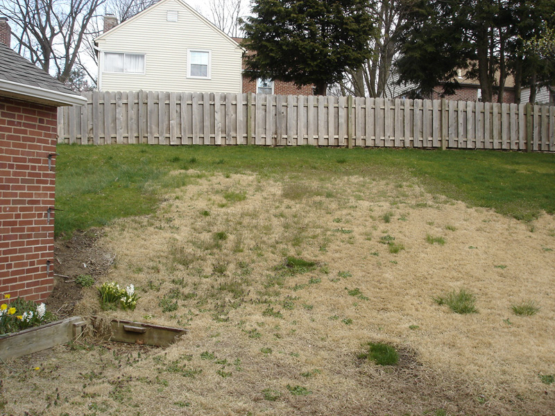 Backyard Designs - Garden With Wall and Perennials in Devon - Before