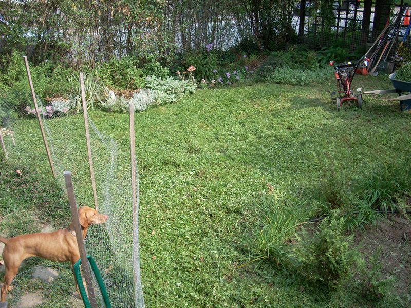 Backyard Landscaping Ideas - Japanese-Influenced Fence With Stone Walls and Perennials in Frazer - Before