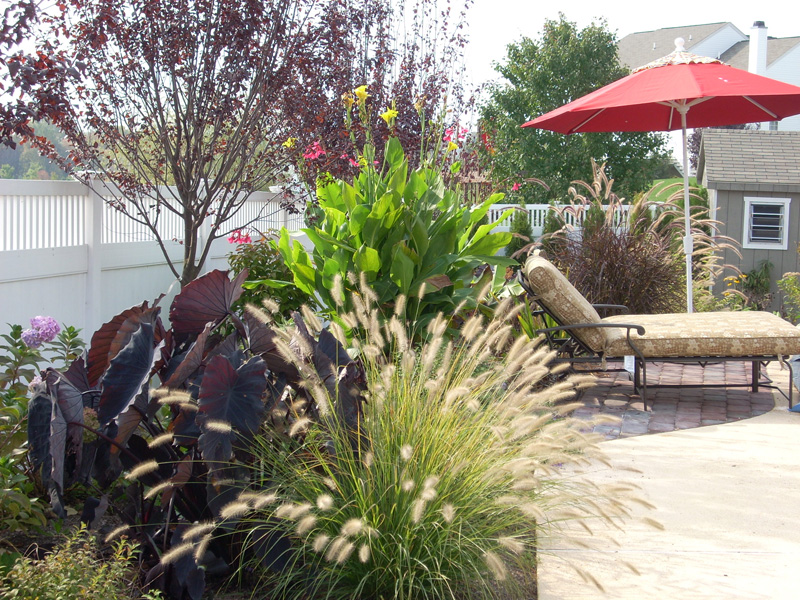 Landscaping Ideas - Caribbean Vacation Home in Gladwynne - After