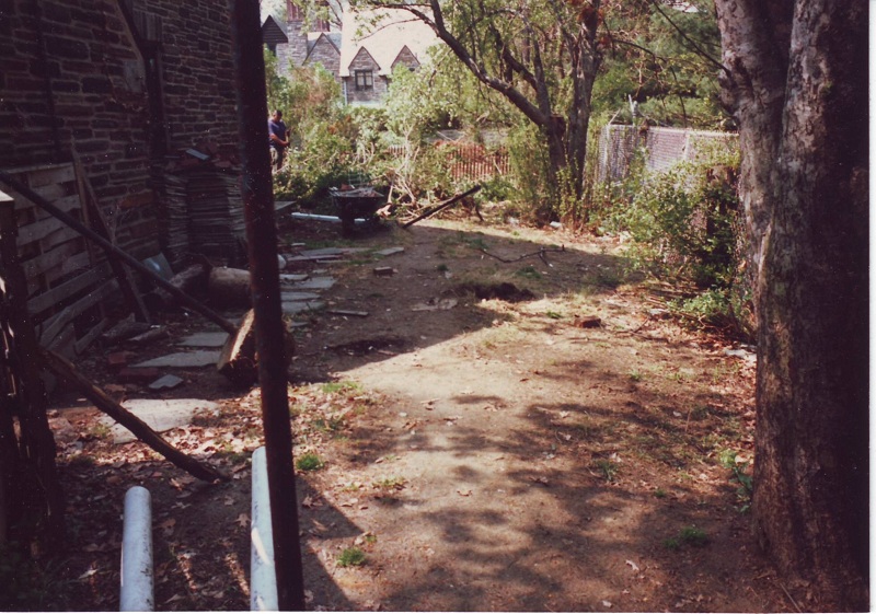 Backyard Designs - Japanese Garden in Wynnewood - Before