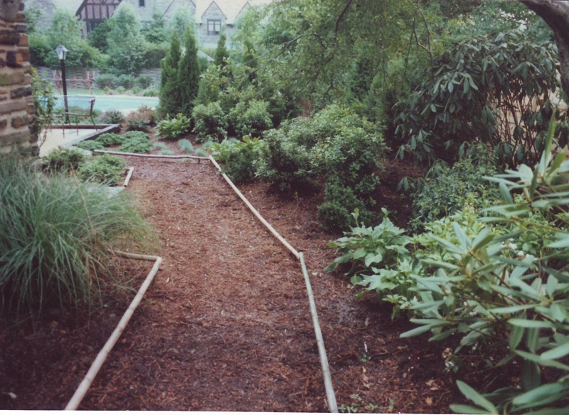 Backyard Designs - Japanese Garden in Wynnewood - After