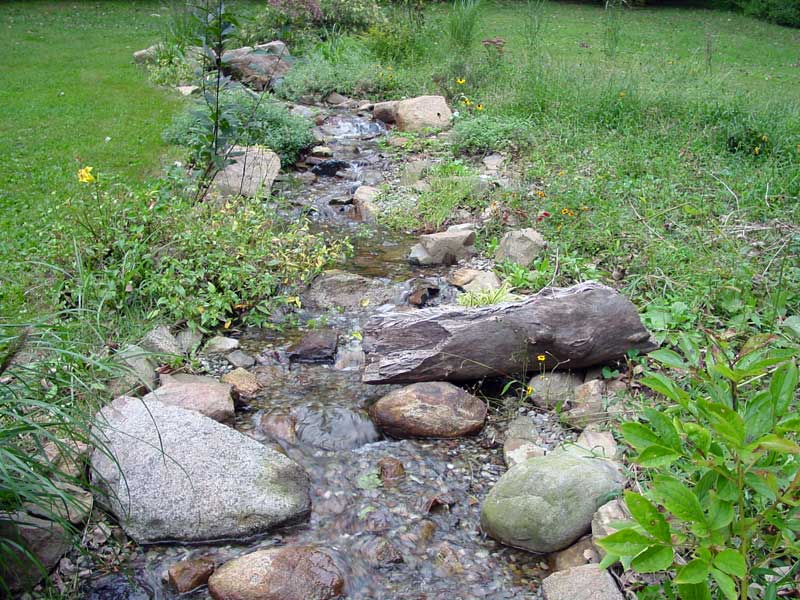Water creation with wild garden in Berwyn