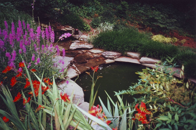 Water garden in Radnor